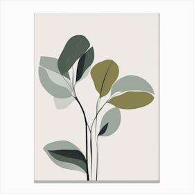 Eucalyptus Canvas Print