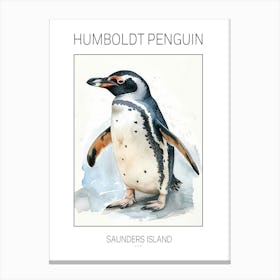 Humboldt Penguin Saunders Island Watercolour Painting 4 Poster Canvas Print