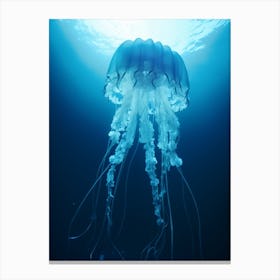 Box Jellyfish Ocean Realistic 4 Canvas Print