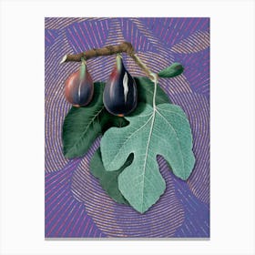 Vintage Fig Botanical Illustration on Veri Peri n.0641 Canvas Print