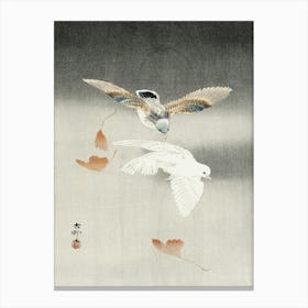 Two Pigeons With Falling Ginkgo Leaves (1900 1930), Ohara Koson Canvas Print