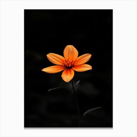 Single Orange Flower 7 Canvas Print