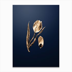 Gold Botanical Sun's Eye Tulip on Midnight Navy n.3385 Canvas Print