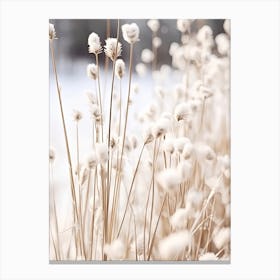 White Flowers Photography 4 Canvas Print