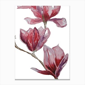 Pink Blossom Flowers Canvas Print