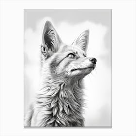 Bengal Fox Portrait Pencil Drawing 5 Canvas Print