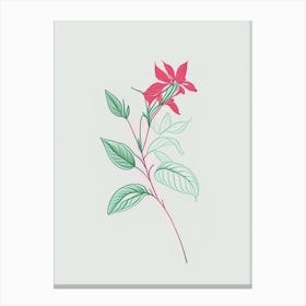 Peppermint Floral Minimal Line Drawing 5 Flower Canvas Print