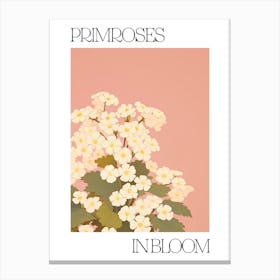 Primroses In Bloom Flowers Bold Illustration 1 Canvas Print