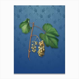 Vintage Friulli Grape Botanical on Bahama Blue Pattern n.1206 Canvas Print