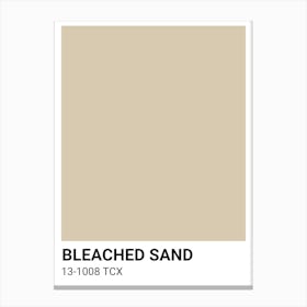 Bleached Sand Canvas Print