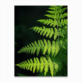 Pattern Poster Royal Fern 4 Canvas Print