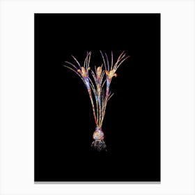 Stained Glass Cloth of Gold Crocus Mosaic Botanical Illustration on Black n.0247 Canvas Print