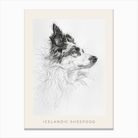 Icelandic Sheepdog Line Art 2 Poster Canvas Print