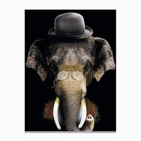 Elephant With Glasses And Hat Canvas Print