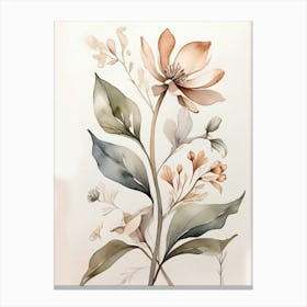 Magnolia 1 Canvas Print