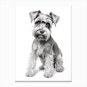 Miniature Schnauzer Dog, Line Drawing 1 Canvas Print