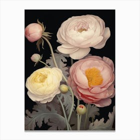 Ranunculus 1 Flower Painting Canvas Print