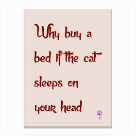 Why Buy A Bed If The Cat Sleeps On Your Head Canvas Print