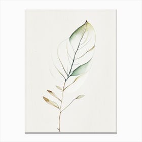 Vanilla Leaf Minimalist Watercolour 1 Canvas Print