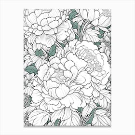 Shirley Temple Peonies 1 Drawing Canvas Print