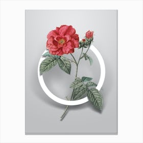 Vintage Apothecary Rose Minimalist Botanical Geometric Circle on Soft Gray Canvas Print