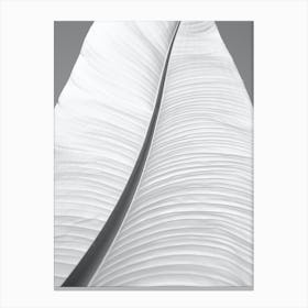 Black And White Banana Leaf Canvas Print