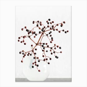 Berries_2114221 Canvas Print