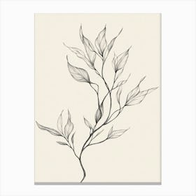 Ivy Drawing Canvas Print