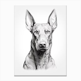 Doberman Pinscher Dog, Line Drawing 3 Canvas Print