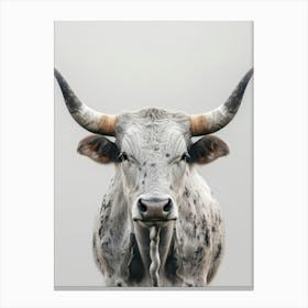 Longhorn Bull Canvas Print