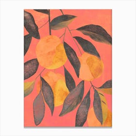 Peaches At Sunset Canvas Print