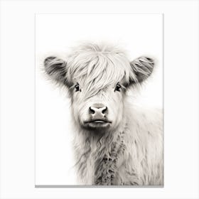 Black & White Illustration Of Baby Highland Cow Canvas Print