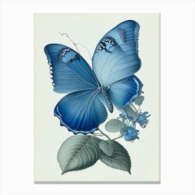 Holly Blue Butterfly Retro Illustration 3 Canvas Print