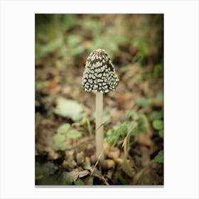 Brown Mushroom // Nature Photography 2 Canvas Print