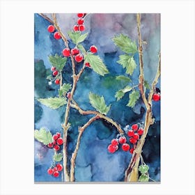 Redcurrant Classic Fruit Canvas Print