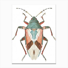 Colourful Insect Illustration Boxelder Bug 11 Canvas Print