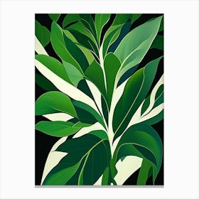 Solomon S Seal Leaf Vibrant Inspired Canvas Print
