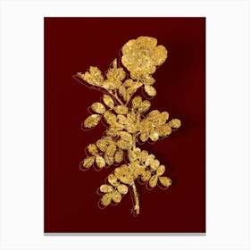 Vintage Macartney Rose Botanical in Gold on Red n.0167 Canvas Print