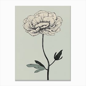 Line Art Marigold Flowers Illustration Neutral 4 Canvas Print