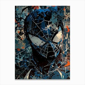 Spider - Man 4 Canvas Print