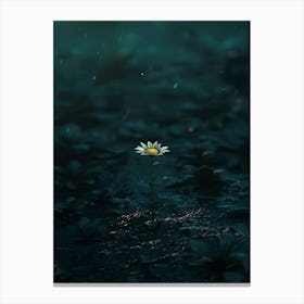 Daisy 31 Canvas Print