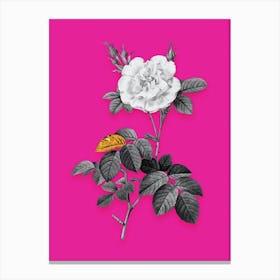 Vintage White Rose Black and White Gold Leaf Floral Art on Hot Pink Canvas Print