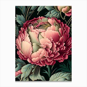 Close Up Of Peonies Single Vintage Botanical Canvas Print