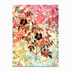 Impressionist Musk Rose Botanical Painting in Blush Pink and Gold 2 Canvas Print