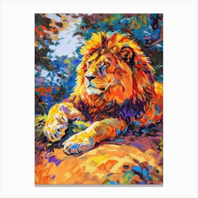 Asiatic Lion Resting In The Sun Fauvist Painting 3 Canvas Print