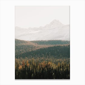 Rolling Forest Hills Canvas Print