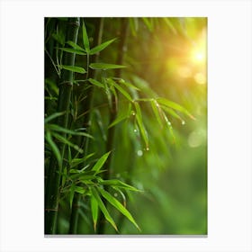 Bamboo Trees In The Sunlight 1 Canvas Print