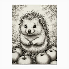 Hedgehog 14 Canvas Print