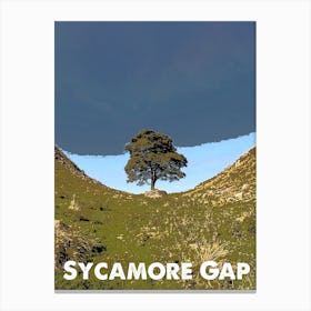 Sycamore Gap, Hadrian's Wall, Tree, National Park, Print Canvas Print