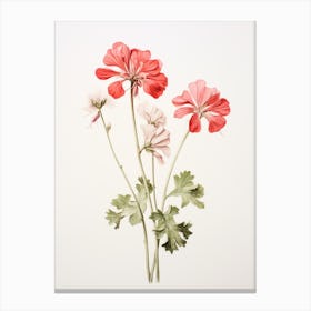 Pressed Flower Botanical Art Geranium 4 Canvas Print